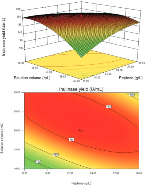 Figure 5 - The response surface plot and the corresponding contour plot showing the effects of peptone and solution volume on inulinase production by mutant E12