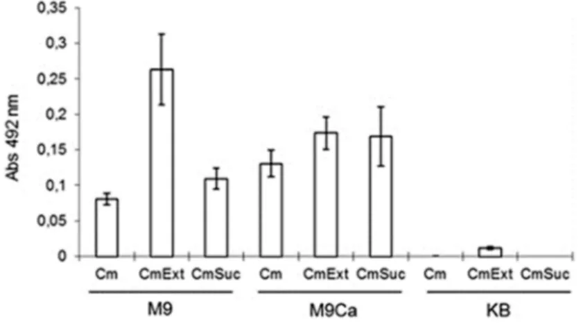 Figure 2 - PsmMut8 was cultured at 28 °C for 48 h in M9, M9Ca or KB medium. All of the media contained chloramphenicol (Cm, 150 mg/mL), and some of the media were supplemented with plant extract (Ext) or sucrose (Suc).