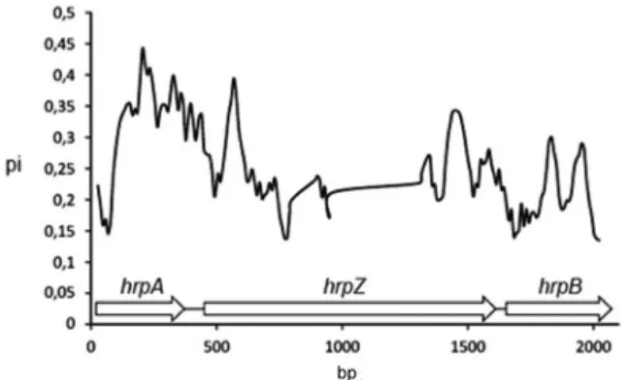 Figure 5 - Nucleotide polymorphism analysis (pi) for the hrpAZB operon.