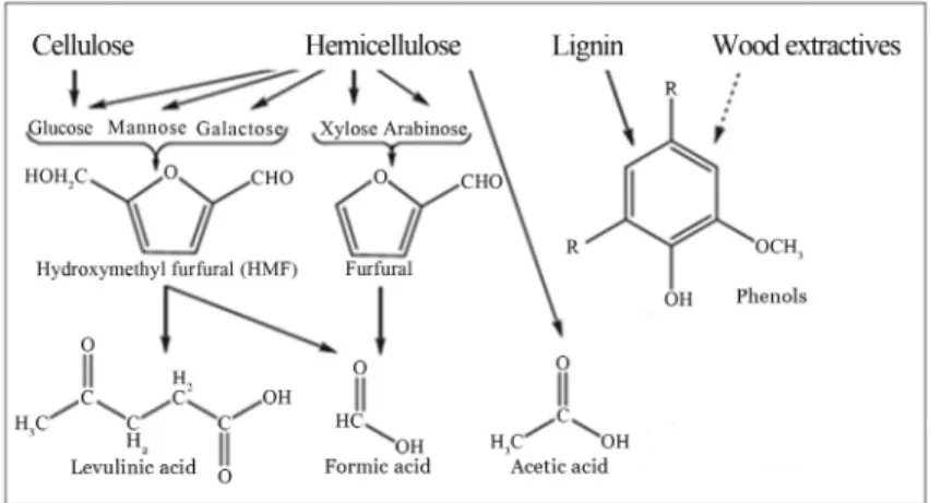 Figure 2 shows the main carbohydrate degradation products from hemicelluloses and cellulose hydrolysis, i.e., xylose and glucose, as well as furfural,  hydroxymethyl-furfural (HMF), and organic acids, such as formic and  ace-tic acid (Palmqvist and Hahn-Ha