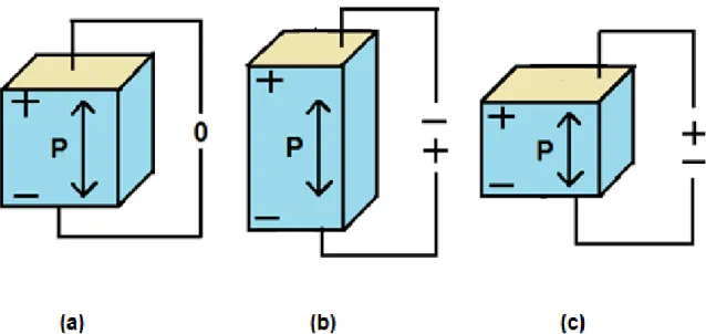 Figura 8: Reacção de um material piezoeléctrico polarizado a uma tensão aplicada,  adaptado de Ledoux (2011).