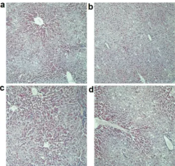 Table 3 - Effect of Kluyveromyces marxianus from Tibetan Kefir on visceral weight and visceral coefficient of rats (x ± s, n = 10).