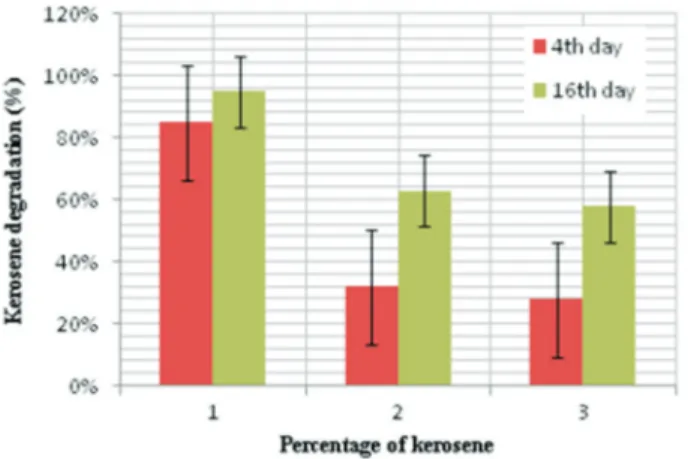 Figure 2 - Degradation of different concentrations of kerosene after 4 th and 16 th days by P