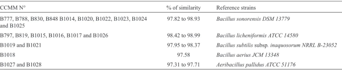 Table 3 - 16S gene sequencing data for the identified strains to the genus level compared to the type strains.