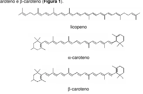 Figura 1. Estruturas de carotenóides acíclicos e cíclicos 