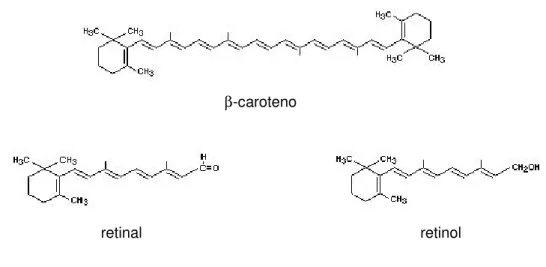 Figura 4. Transformação de β-caroteno em vitamina A     