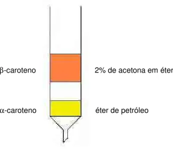 Figura 4. Representação gráfica do isolamento de padrões da cenoura. 