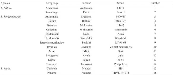 Table 1 - The strains, serogroups, serovars, and species of the Leptospira genus used in this work.
