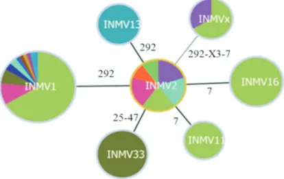 Figure 2 - GoeBURST clustering of the seven MIRU-VNTR profiles. Locations are represented in different colours