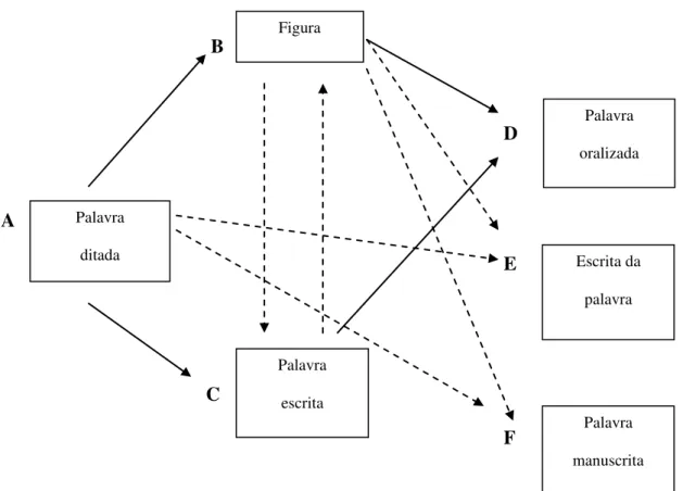 Figura 1  –  Diagrama das relações ensinadas (setas contínuas) e testadas (setas tracejadas) 