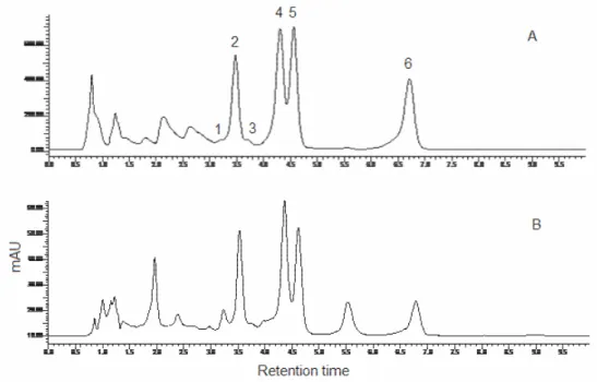 Figure  1  -  A:  HPLC-UV  oxindole  alkaloid  profile  of  the  reference  sample  (Uncaria  tomentosa);  B:  HPLC-UV  oxindole  profile  of  the  ethanol  extract  of  the  leaves  of  Uncaria  guianensis 