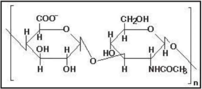 Figura 2: Estrutura do ácido hialurônico (ácido D-glicurônico e N-acetil-glicosamina)