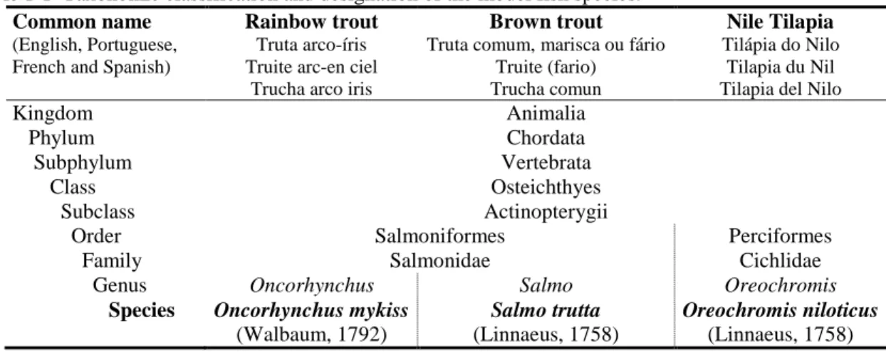Table 1-1  Taxonomic classification and designation of the model fish species. 