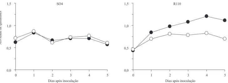 Figura  1. Atividade  de  quitinases  (unidades  de  absorbância  a  550  nm  por  miligrama  de  proteína  por  hora),  em  amostras  radiculares  de  porta-enxertos  de  videira  suscetível  (SO4)  e  resistente  (R110)  a  Fusarium  oxysporum  f