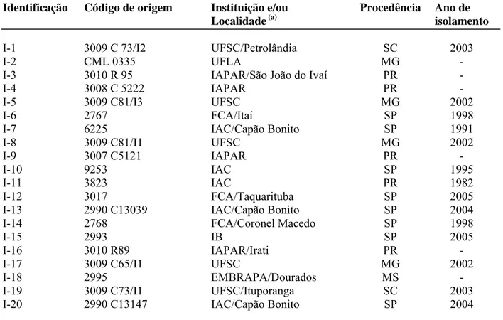Tabela 2: Isolados de Colletotrichum lindemuthianum usados. 