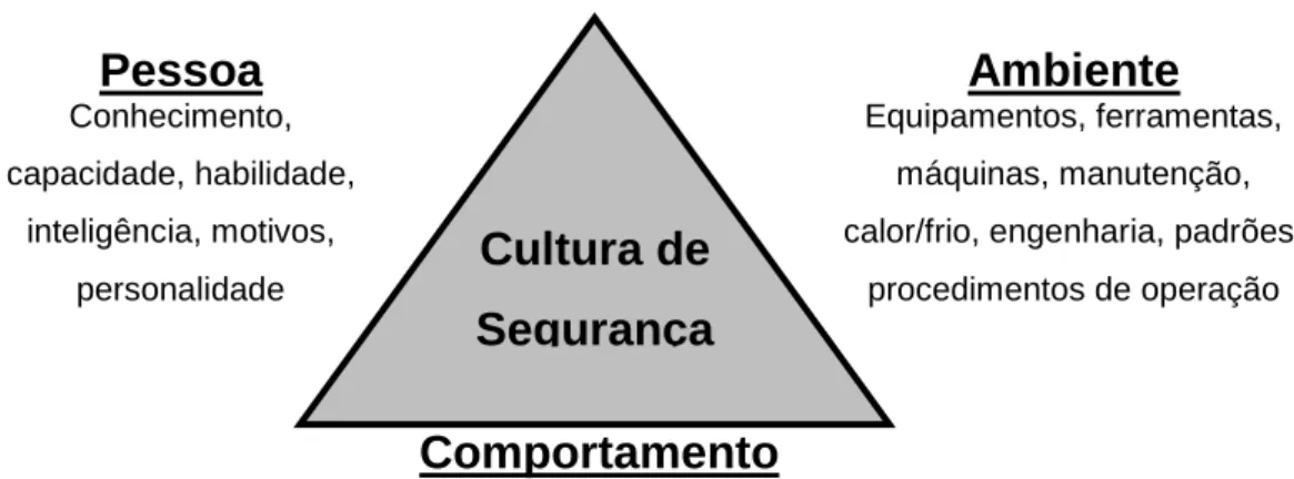 Figura 2: Cultura de Segurança Total