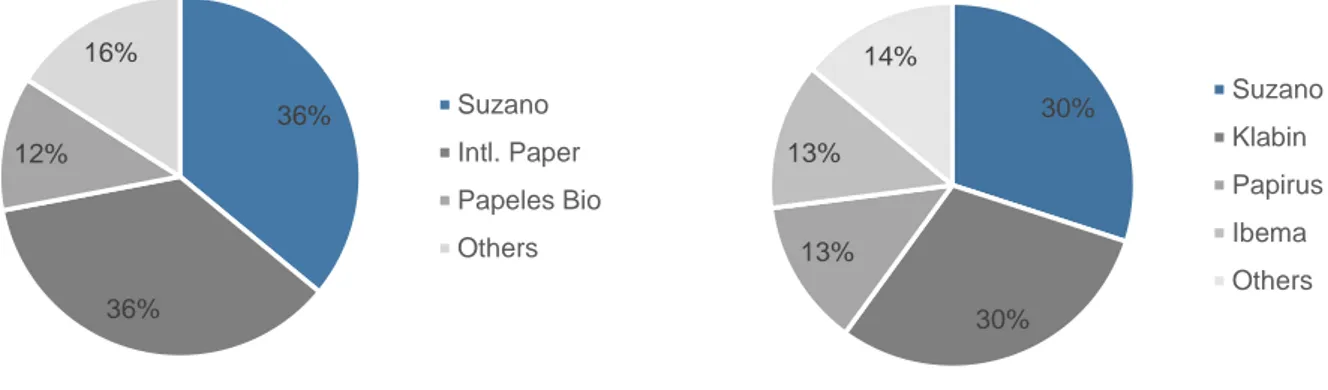Figure 4 Bleached Hardwood pulp  capacity - 2017E 8.15 4.2 3.4 3.2 2.8 2.1 1.7 1.5 1.2 1.2Fibria*APPSuzanoCMPCAprilUPMEldoradoAraucoStora EnzoCenibra 30%30%13%13%14% SuzanoKlabinPapirusIbemaOthers36%36%12%16%SuzanoIntl