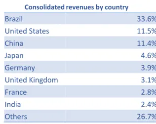 Figure 5 Company’s revenues by segment and by country