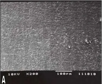 FIGURA  13  -  Eletromicrografias  da  réplica  do  Grupo  2,  após  a  remoção  do  remanescente  adesivo  com  broca  de  carboneto  de  tungstênio  (Beavers  Dental)
