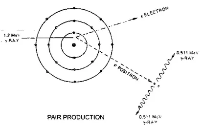 Figura 7. Produção de Pares . 