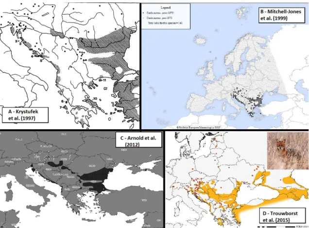 Figure 3- Main studies w ith distribution assessments of Golden Jackal in Europe: A – Krystufek et al