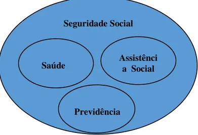 Figura 1:  Seguridade Social 