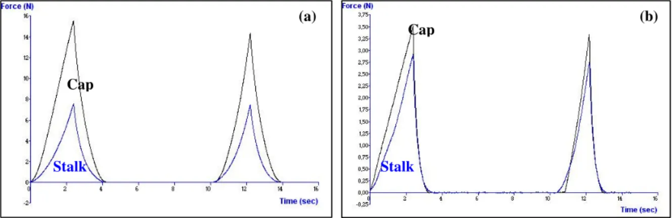 Figure 3 – Texture Profile analysis to the mushrooms: (a) fresh (b) freeze-dried. Cap Stalk Cap Stalk (a)  (b) 