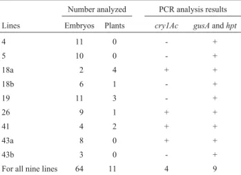 Table 1 - Polymerase chain reaction (PCR) characterization of transgenic soybean histodifferentiated embryos and recovered plants derived from independent transformation events (lines)