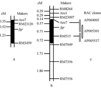 Figure 1 - Location of the fragrance gene in chromosome 8. (a) Linkage map of the Ch-29B/R2 F 2 