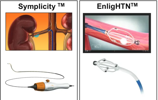 Figure 5: The most frequently used devices used in RDN along the study. 