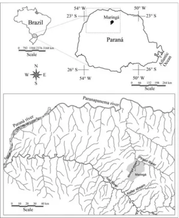Figure 1 - Hydrographic map showing the draining basins of the Parana- Parana-panema and Ivaí Rivers, with collection sites of Bryconamericus aff.