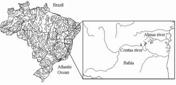 Figure 1 - Hydrographic map of Brazil showing in detail the main rivers for the Contas and Recôncavo Sul basins (State of Bahia) and collection sites of this study: (a) Contas River, (b) Preto do Costa River, and (c) Mineiro Stream.