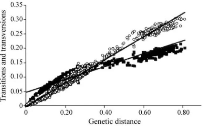 Figure 1 - Graphic showing the frequency of observed transitions and transversions versus genetic distance (Kimura, 1980) of 12S and 16S rRNA genes