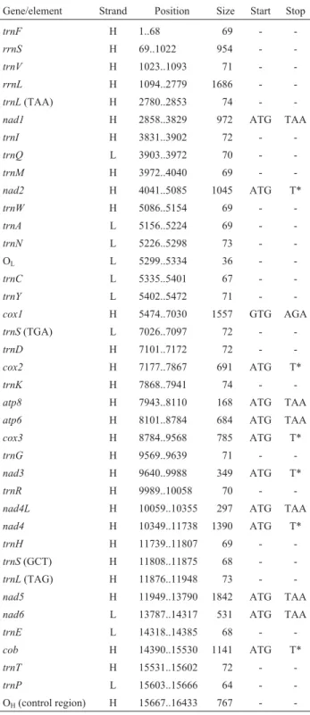 Table 2 - Gene organization of the Arapaima gigas mitochondrial ge- ge-nome.