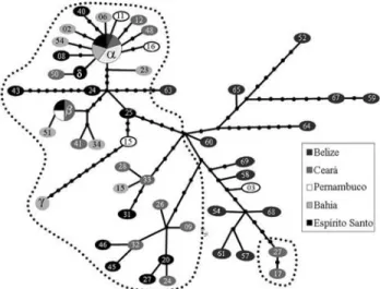 Figure 5 - mtDNA control-region haplotype network. Different shades of grey are used to indicate sample locations