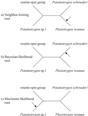 Figure 4 - Schematic representation of the ingroup topology which is re- re-covered by all three methods of phylogenetic inference