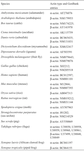 Table 1 - Species and accession numbers of actin cDNA sequences ob- ob-tained from GenBank.