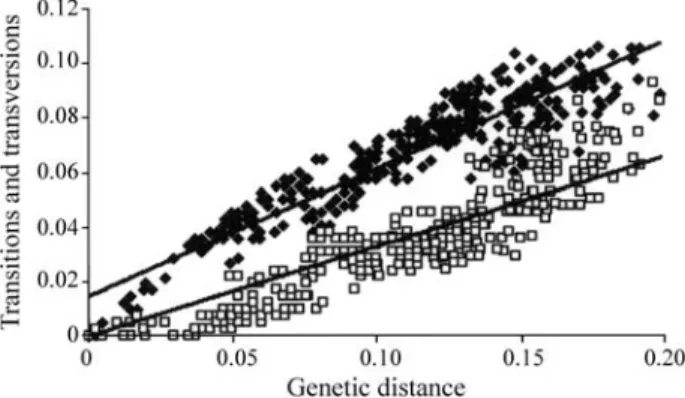 Figure 1 - Frequency of observed transitions and transversions versus ge- ge-netic distance (Kimura, 1980) of the 16S rRNA gene