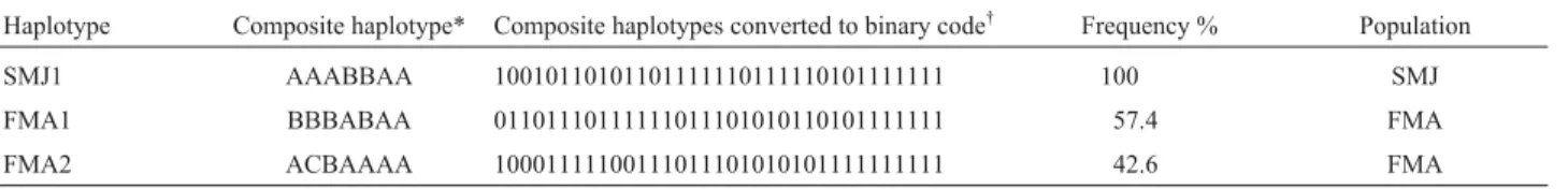 Table 2 - Composite haplotypes obtained after PCR-RFLP analysis of HVRI in 126 northern muriqui monkeys from Santa Maria de Jetibá in the Brazil- Brazil-ian state of Espírito Santo (SMJ population, n = 18) and FelicBrazil-iano Miguel Abdala in the BrazilBr