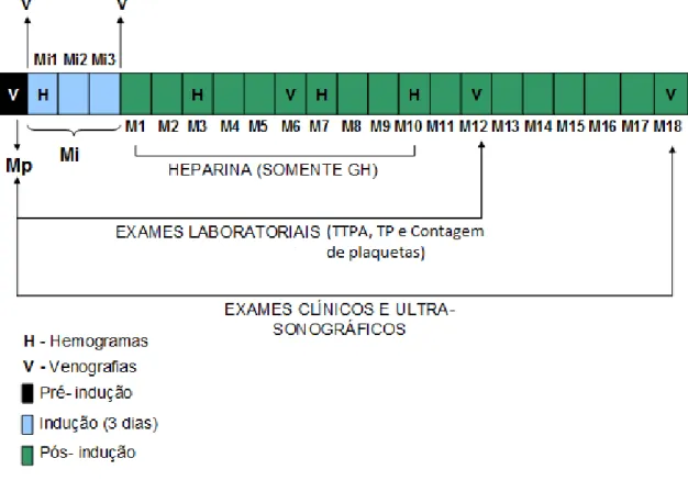 Figura 2: Cronograma de execução do experimento em dias 
