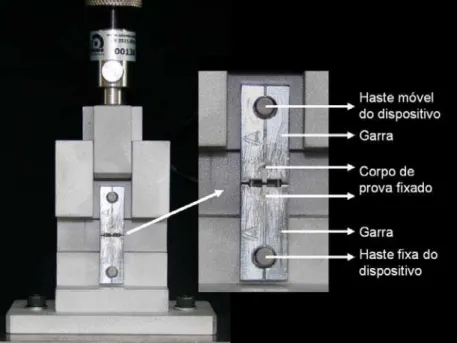 Figura 5- Cp fixado no dispositivo de microtração. 