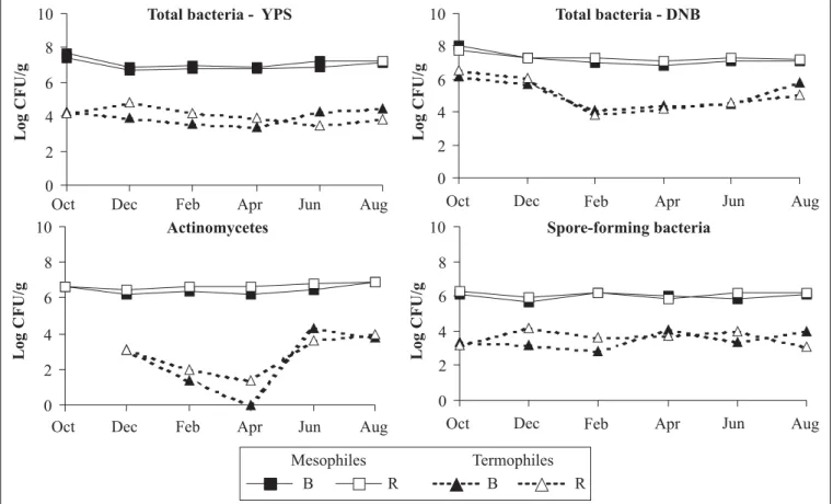 Figure 2. Dynamics of population of mesophilic and thermophilic bacteria in the bulk (B) and A
