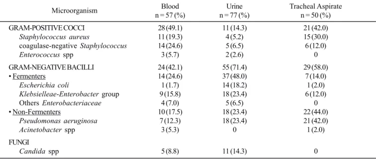 Table 1. Microorganisms isolated from blood, urine and tracheal aspirates in patients of AICU from February/2006 to February/2007.