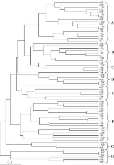 Figure 2. Phylogenetic tree among 67 CoNS strains, constructed by Free Tree “software” and Distance Coefficient (DICE), showing relationships, by the UPGMA method.