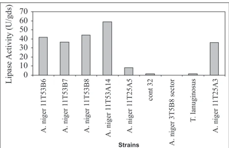 Table 1. Lipase activity exhibited by fungus A. niger 11T53A14, submitted to solid state fermentation using wheat bran and corn cob as substrates and different olive oil concentrations, after 48 h of fermentation.