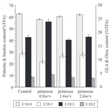 Figure 4a. GLA production in various supplemented concentrations of primrose oil in submerged cultures.