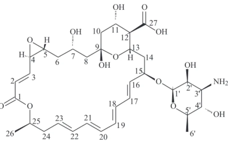 Figure 4. The structure of the bioactive compound of strain A01.