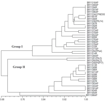 Figure 2. ARDRA-RFLP similarity cluster of 35 isolates, obtained from sugarcane varieties originated from different countries and maintained in the germoplasm bank, and 6 reference strains of G.