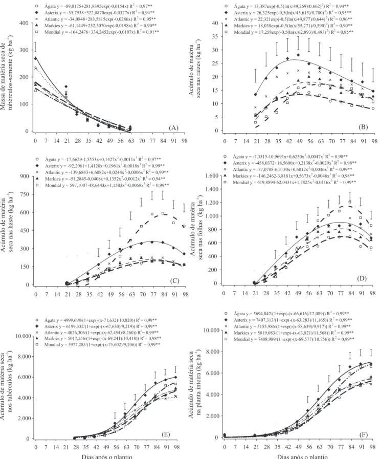 Figura 2. Massa de matéria seca dos tubérculos-semente (A); Acúmulo de matéria seca nas raízes (B), hastes (C), folhas (D),  tubérculos (E) e planta inteira (F) de cultivares de batata ao longo do ciclo da cultura