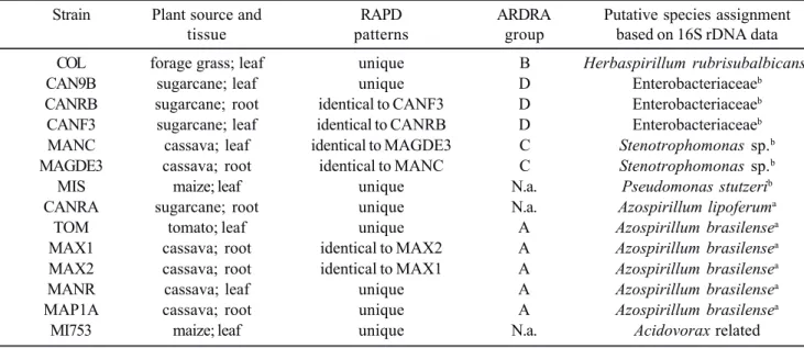 Table 1. Results of genotypic analyses of the isolated nitrogen-fixing bacteria.